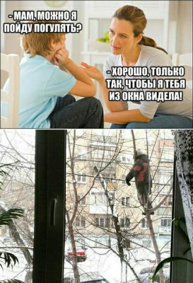 Прикрепленное изображение: 29791012_133992124108527_5066074839975743164_n.jpg